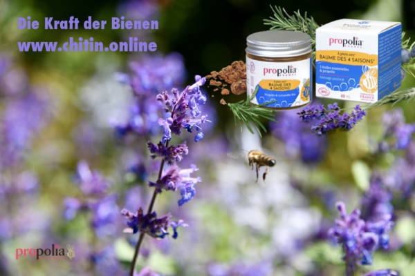 Bio 4 Jahreszeiten Balsam Propolia