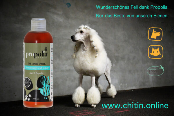 Shampoo Tierpflegeprodukt von Propolia