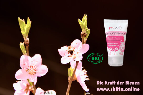 Propolia Gel soin SOS peau arnica certifié bio Arnica & Gel Propolis www.chitin.online