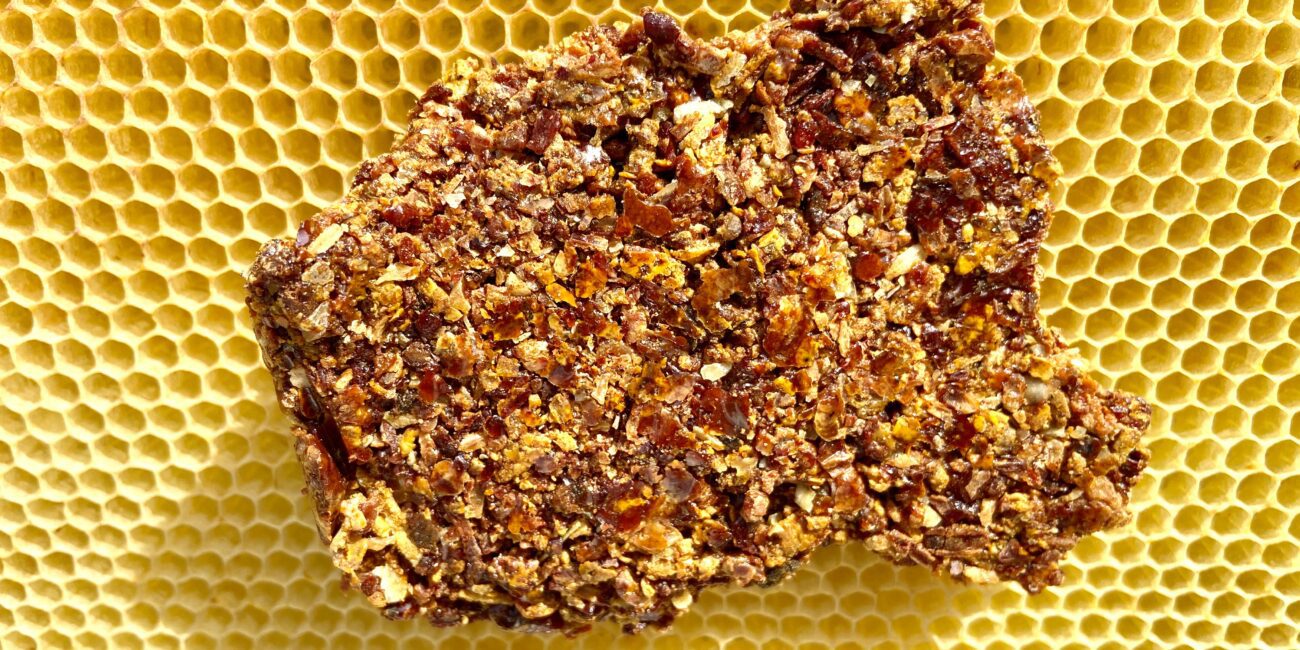 Propolia - Bio Propolis aus Spanien - was ist Propolis? - Wie sieht Propolis aus