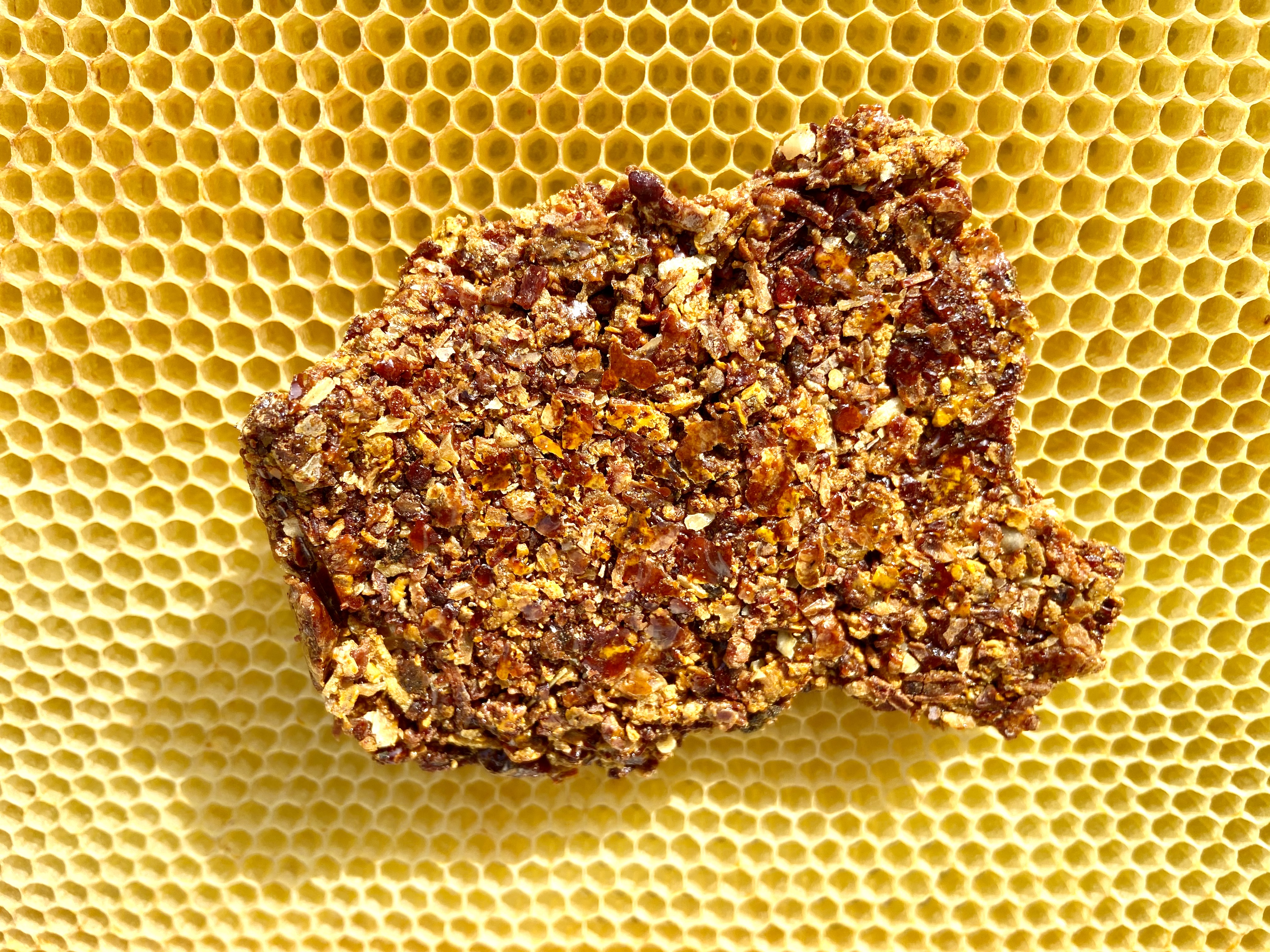 Propolia - Organic Propolis from Spain. What is propolis? What does propolis look like?