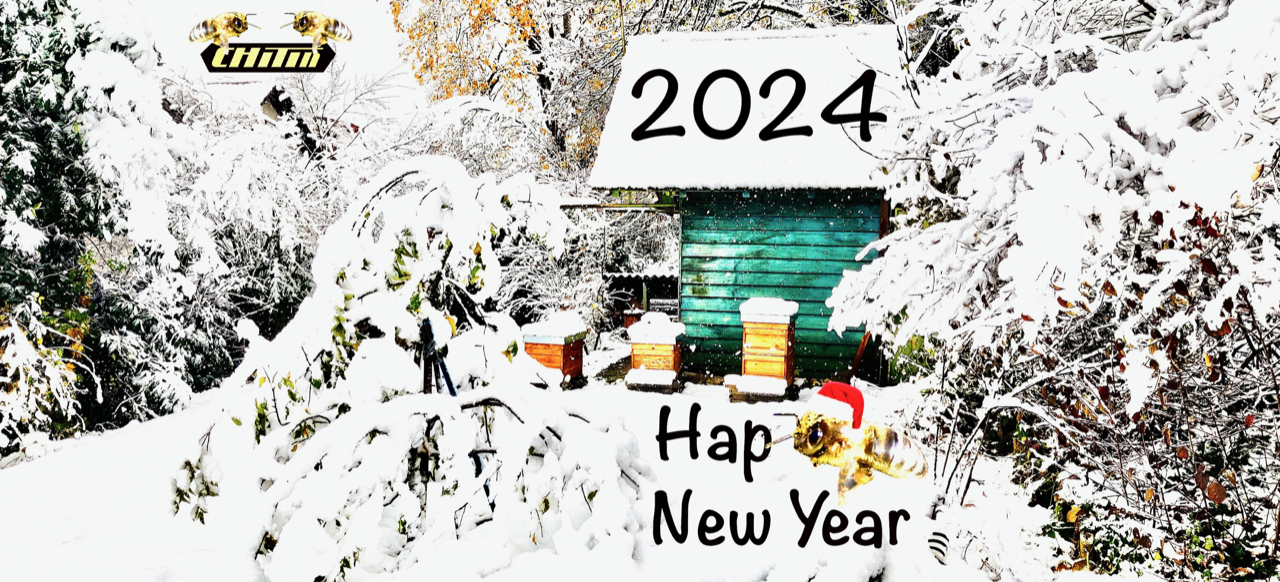 Happy New Year 2024 www.chitin.online